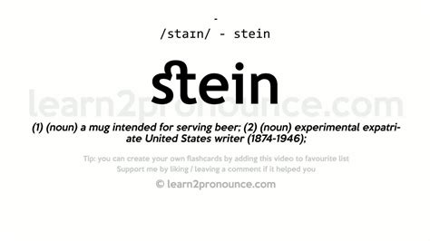 stein pronunciation|what does stein mean.